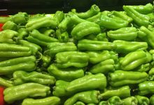 cubanelle pepper plant