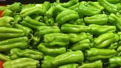 cubanelle pepper plant
