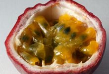 Lilikoi Passion Fruit Plant : A Comprehensive Guide