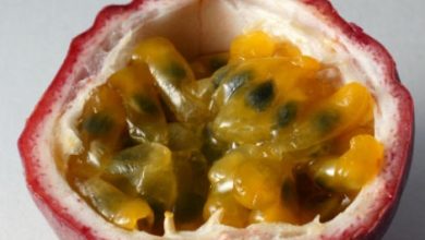 Lilikoi Passion Fruit Plant : A Comprehensive Guide
