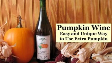 pumpkin wine recipe