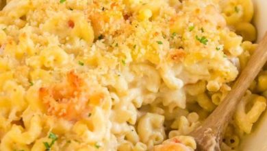 creamettes recipe for macaroni and cheese