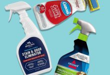 Best Dry Carpet Cleaner powder