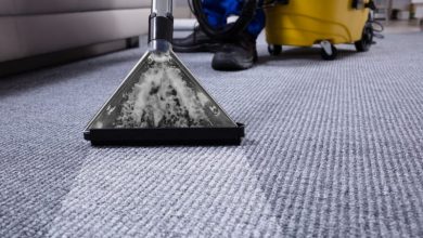 How to dry clean carpet at home