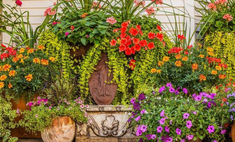 Best pots for container gardening