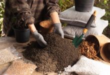 Best potting soil for outdoor plants